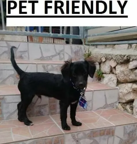 Alojamento de Acomodação e Pequeno-almoço Ema Novi Vinodolski