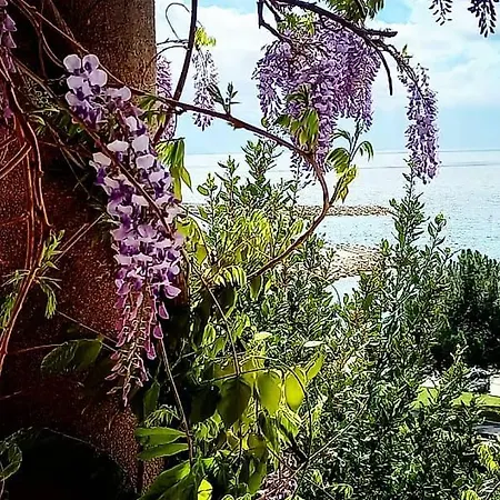 Ema 3* ノヴィ・ヴィノドロスキー