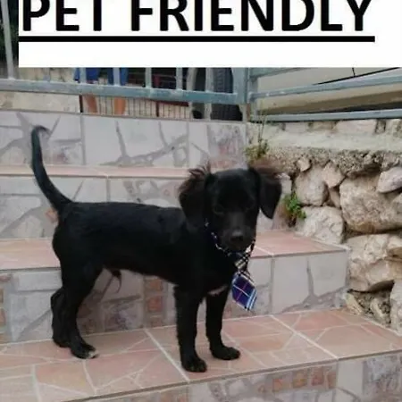 Bed and breakfast Ema Novi Vinodolski