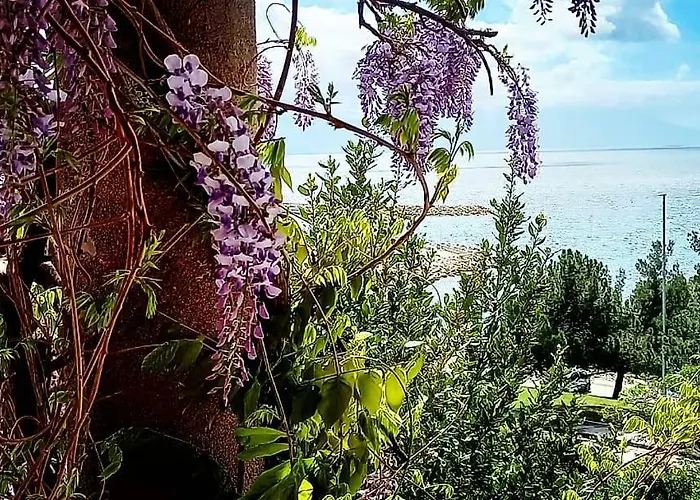 Ema 3* ノヴィ・ヴィノドロスキー